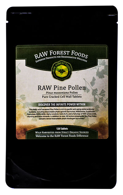 The Health Benefits Of Pine Pollen Superfood From The Trees