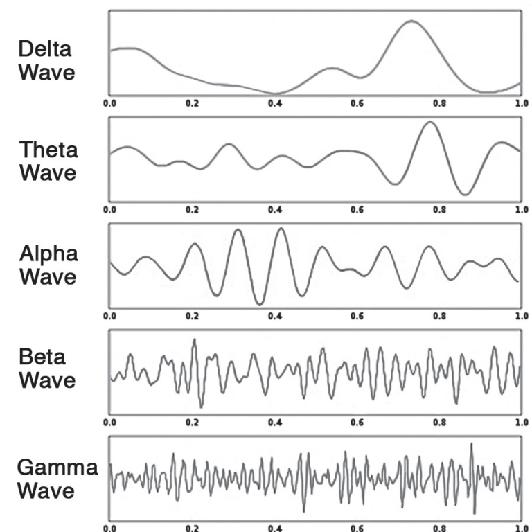 The 5 Types of Brain Waves The Keys to Higher States of Consciousness