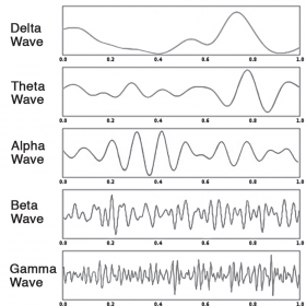 The 5 Types of Brain Waves: The Keys to Higher States of Consciousness